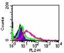 RANK/TNFRSF11A Antibody (64C1385.1), PE, Novus Biologicals 100 Tests; PE:Antibodies,